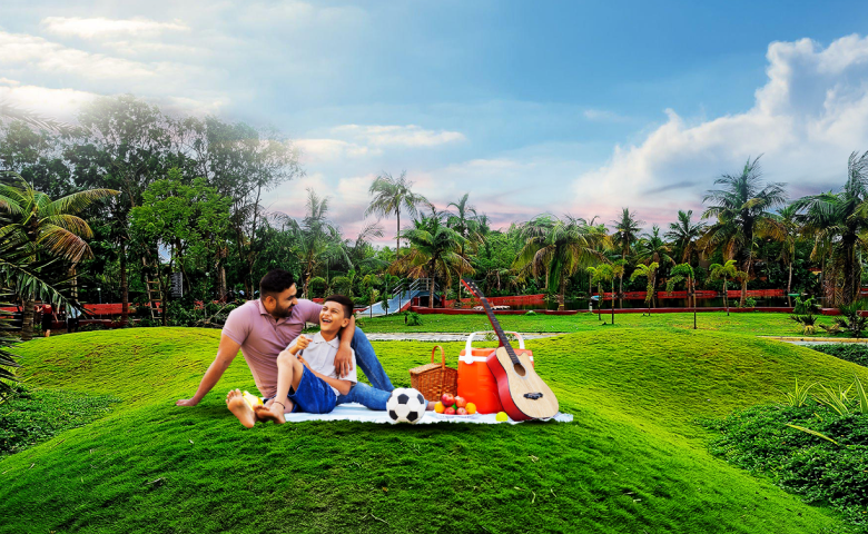 picnic